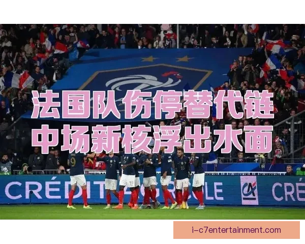 国家队伤停球员影响评估与战术人员解决路径与体系优化策略研究